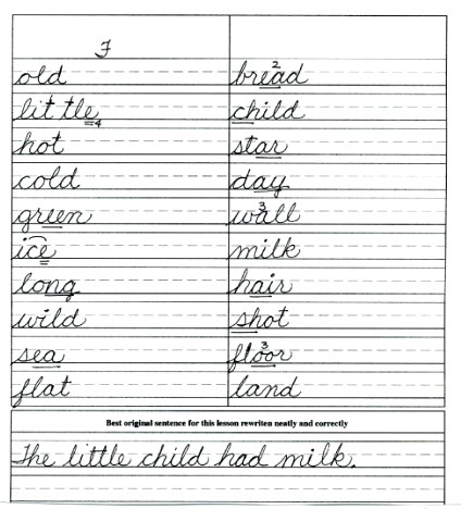 Primary Learning Log 